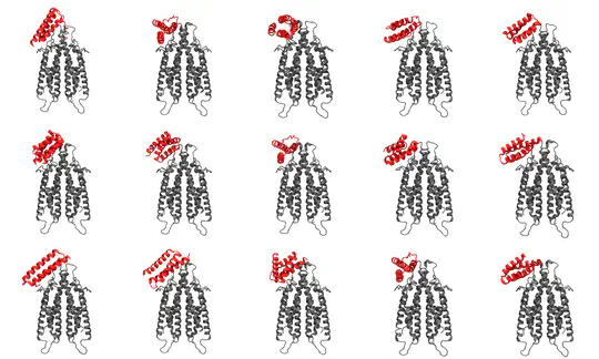 CD20 Protein Binder Design